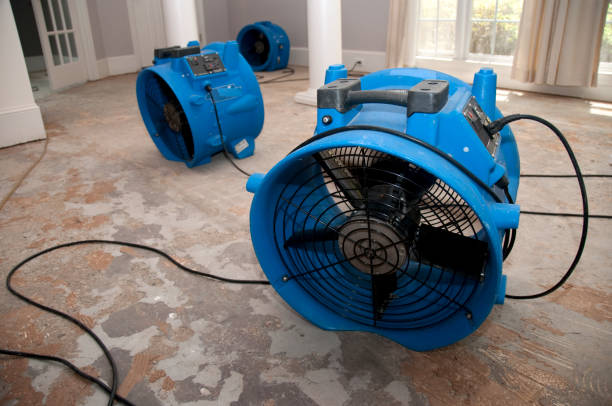 Best Water damage restoration near me  in Rockaway Beach, OR