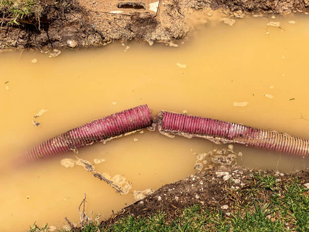 Best Basement water damage restoration  in Rockaway Beach, OR