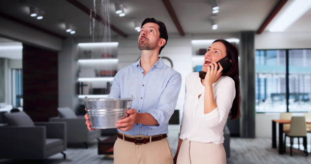 Best Water damage restoration experts  in Rockaway Beach, OR