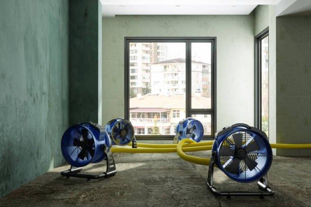 Best Local water damage restoration  in Rockaway Beach, OR